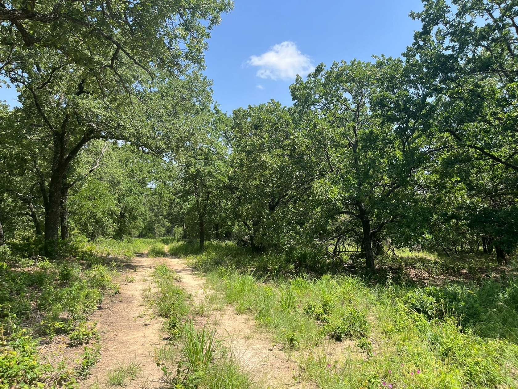 2 Acres of Residential Land for Sale in Poolville, Texas