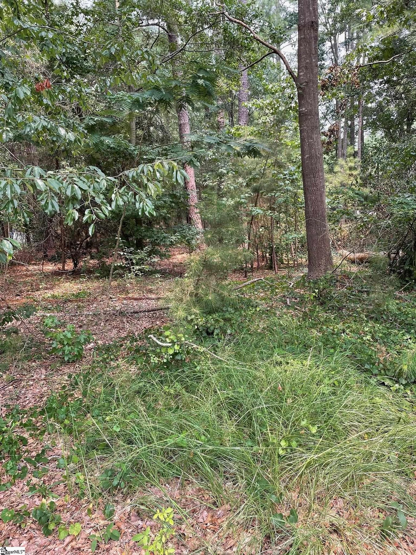 0.58 Acres of Residential Land for Sale in Anderson, South Carolina