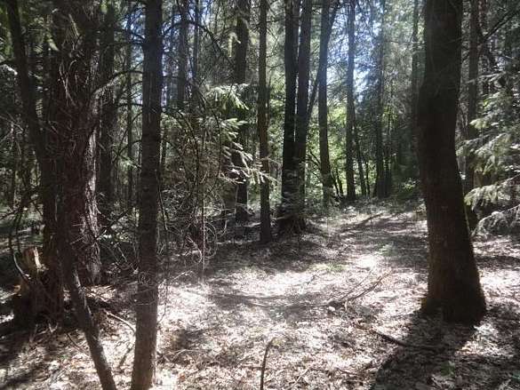 5.3 Acres of Residential Land for Sale in Nevada City, California