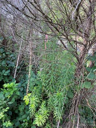 31 Acres of Commercial Land for Sale in Bessemer City, North Carolina