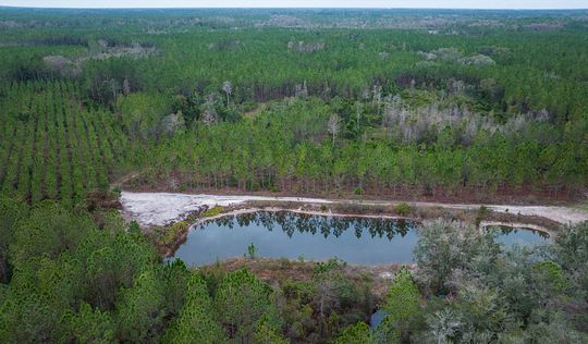 855 Acres of Improved Recreational Land for Sale in Perry, Florida