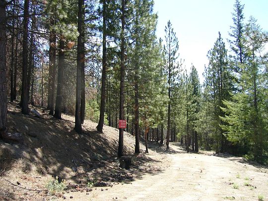 160 Acres of Land for Sale in Callahan, California