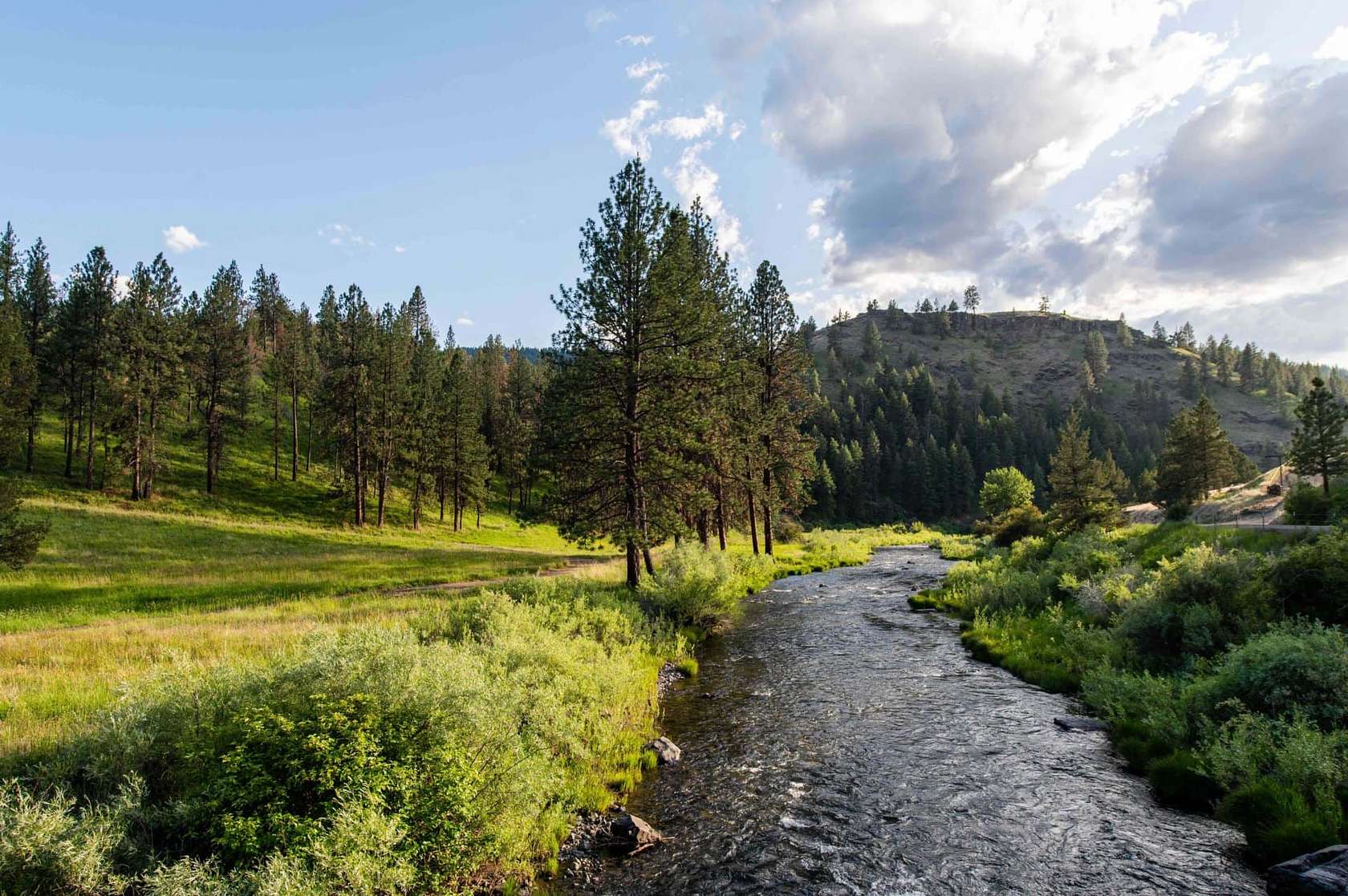 238 Acres of Recreational Land for Sale in Ritter, Oregon