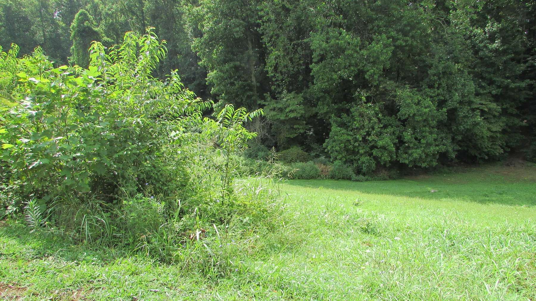 0.82 Acres of Land for Sale in Jonesborough, Tennessee