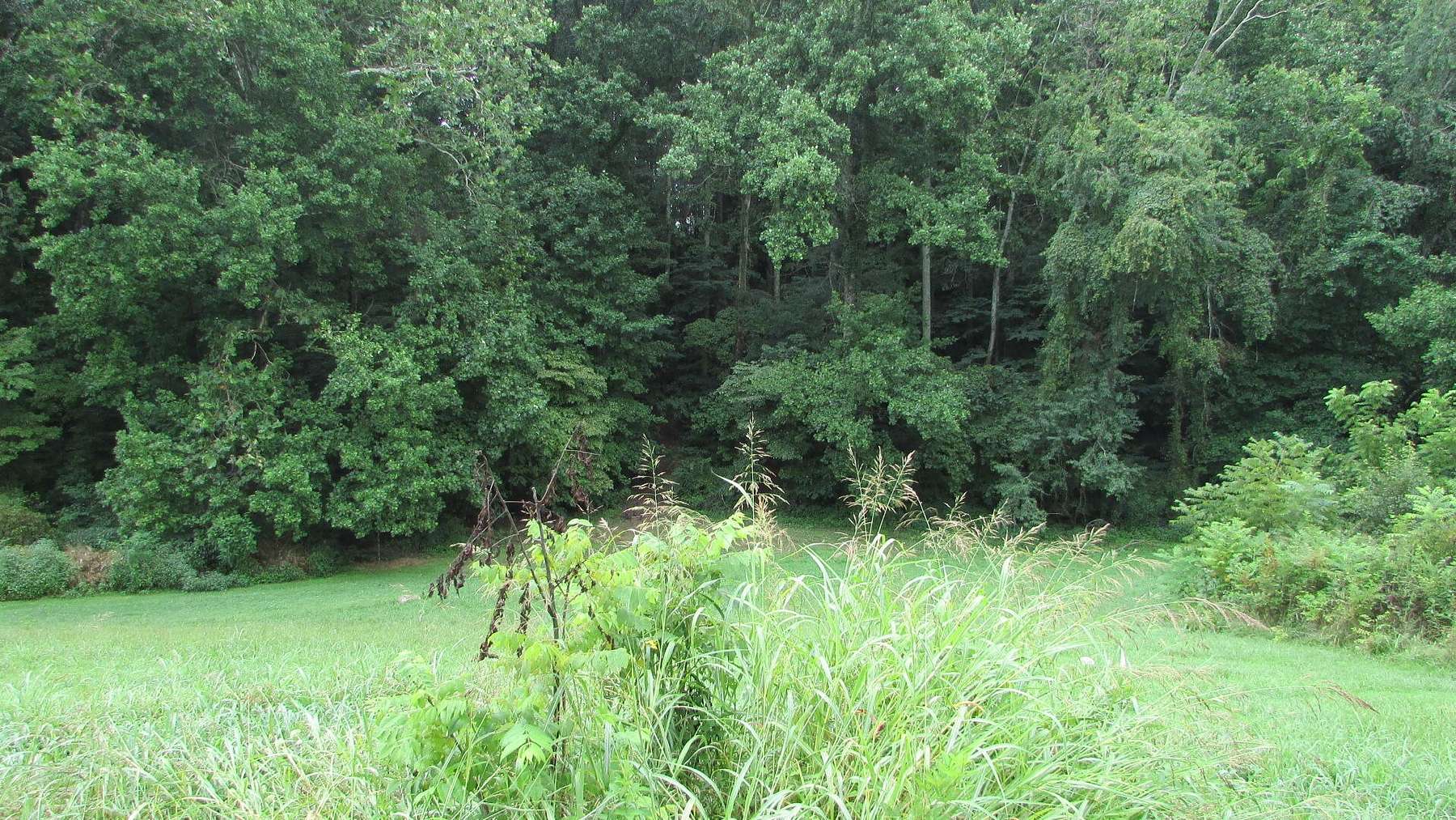 0.82 Acres of Residential Land for Sale in Jonesborough, Tennessee