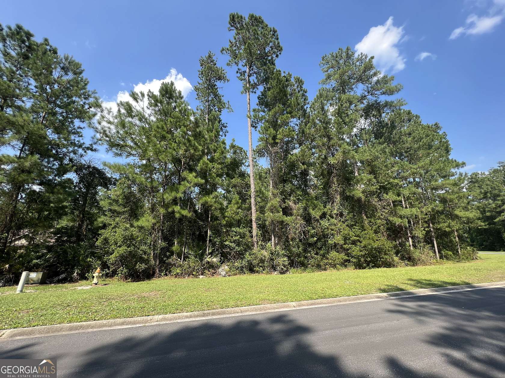 0.92 Acres of Residential Land for Sale in Woodbine, Georgia