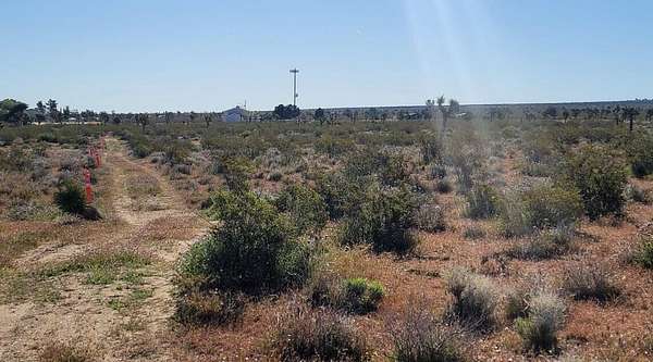 2.5 Acres of Land for Sale in Palmdale, California