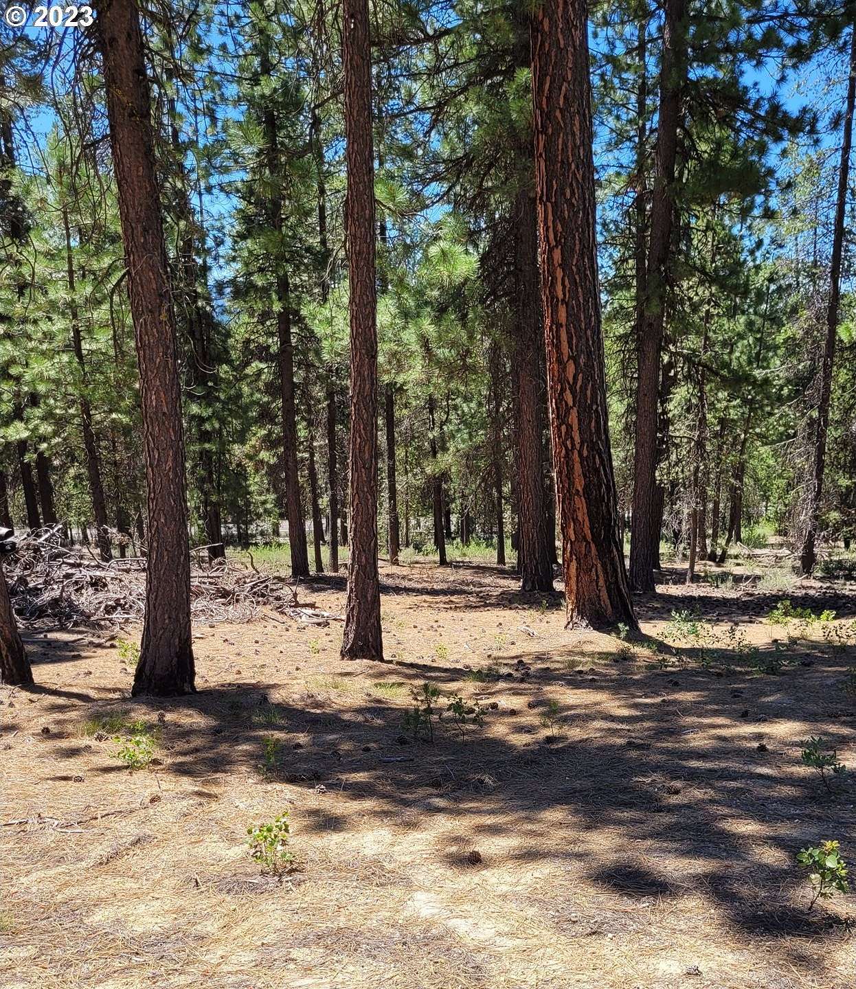2.7 Acres of Residential Land for Sale in Crescent Lake, Oregon
