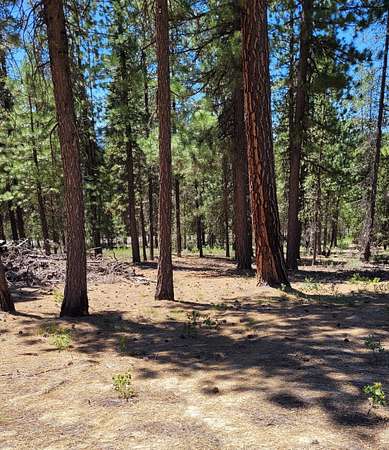 2.66 Acres of Residential Land for Sale in Crescent Lake, Oregon