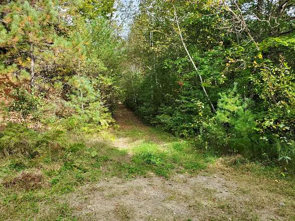 13 Acres of Recreational Land for Sale in Medford, Maine