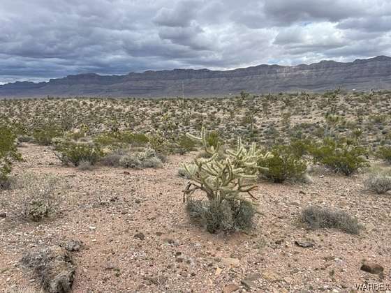 14 Acres of Agricultural Land for Sale in Meadview, Arizona