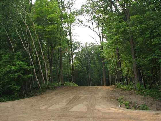 1 Acre of Residential Land for Sale in Birchwood, Wisconsin