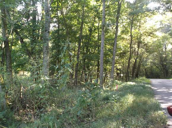 0.82 Acres of Residential Land for Sale in Unicoi, Tennessee