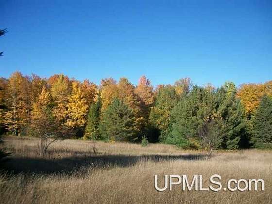 38 Acres of Recreational Land for Sale in Sidnaw, Michigan
