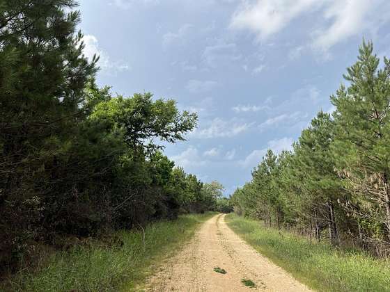 96.8 Acres of Recreational Land for Sale in Sulphur Springs, Arkansas
