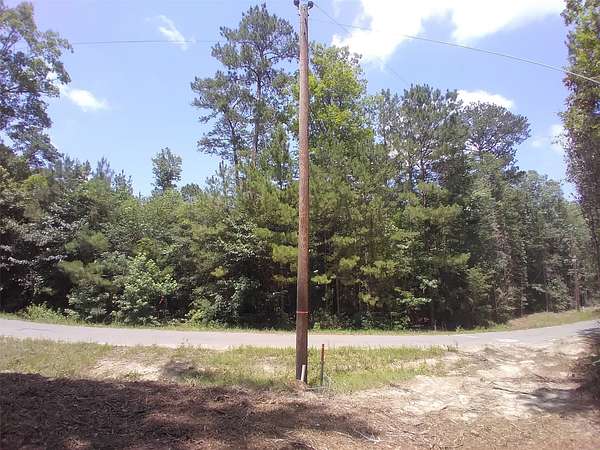 0.29 Acres of Land for Sale in Ivanhoe, Texas
