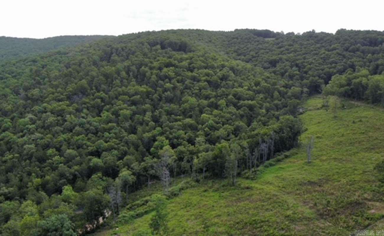 40 Acres of Recreational Land & Farm for Sale in Marble Falls Township, Arkansas