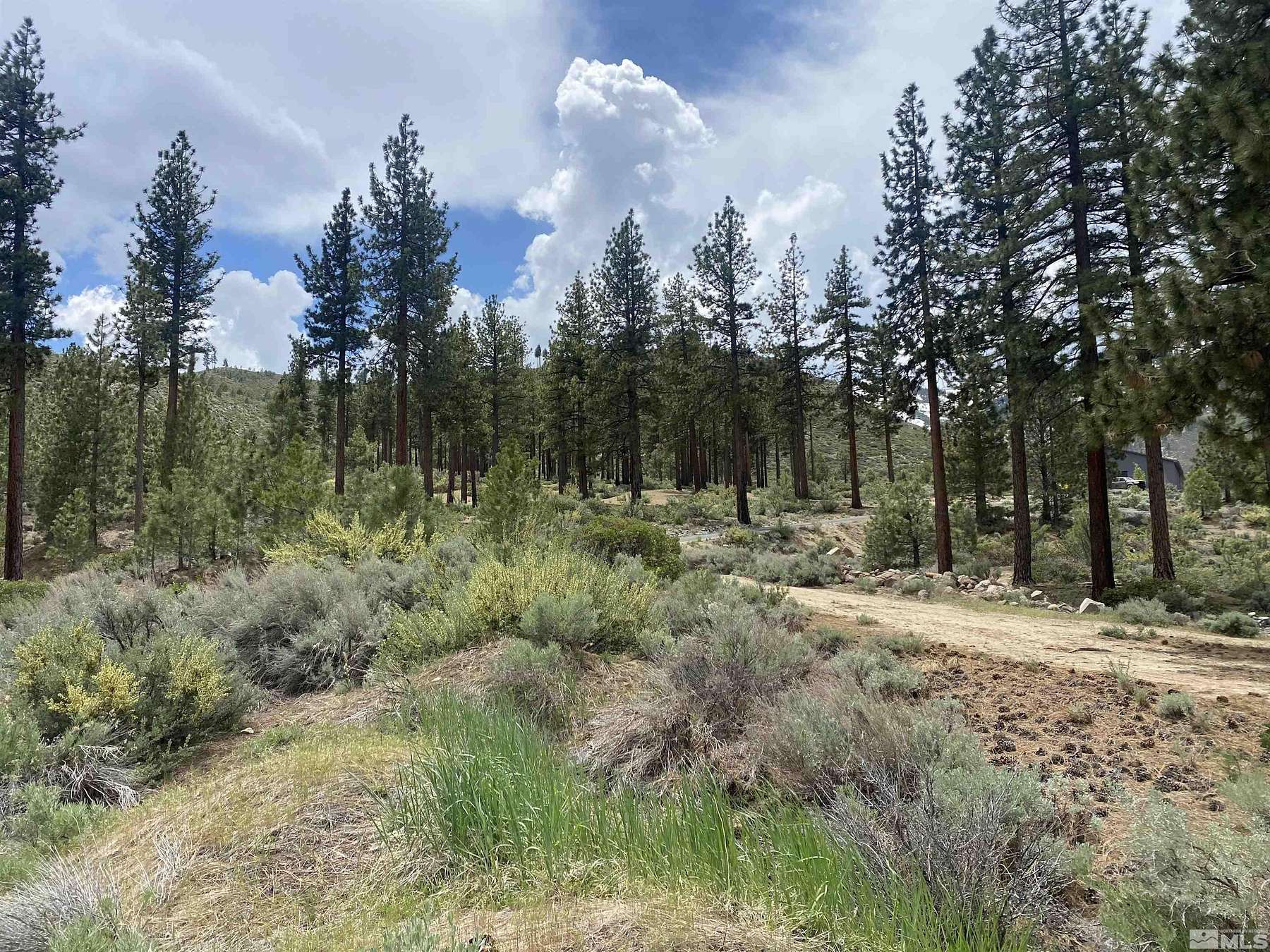 5 Acres of Residential Land for Sale in Washoe Valley, Nevada