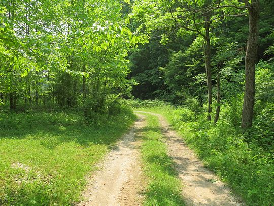 268 Acres of Recreational Land for Sale in Advent, West Virginia