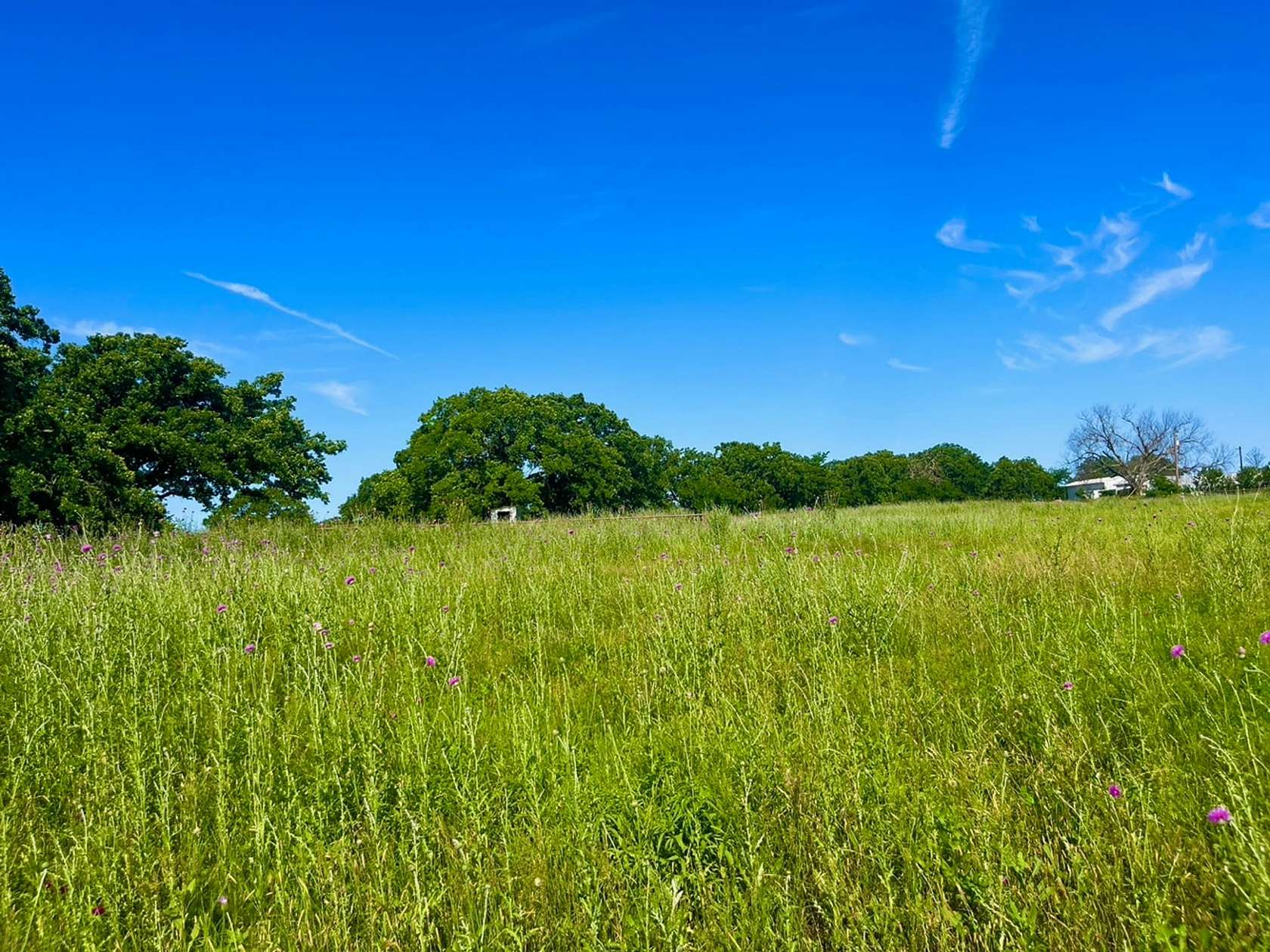 2 Acres of Residential Land for Sale in Poolville, Texas