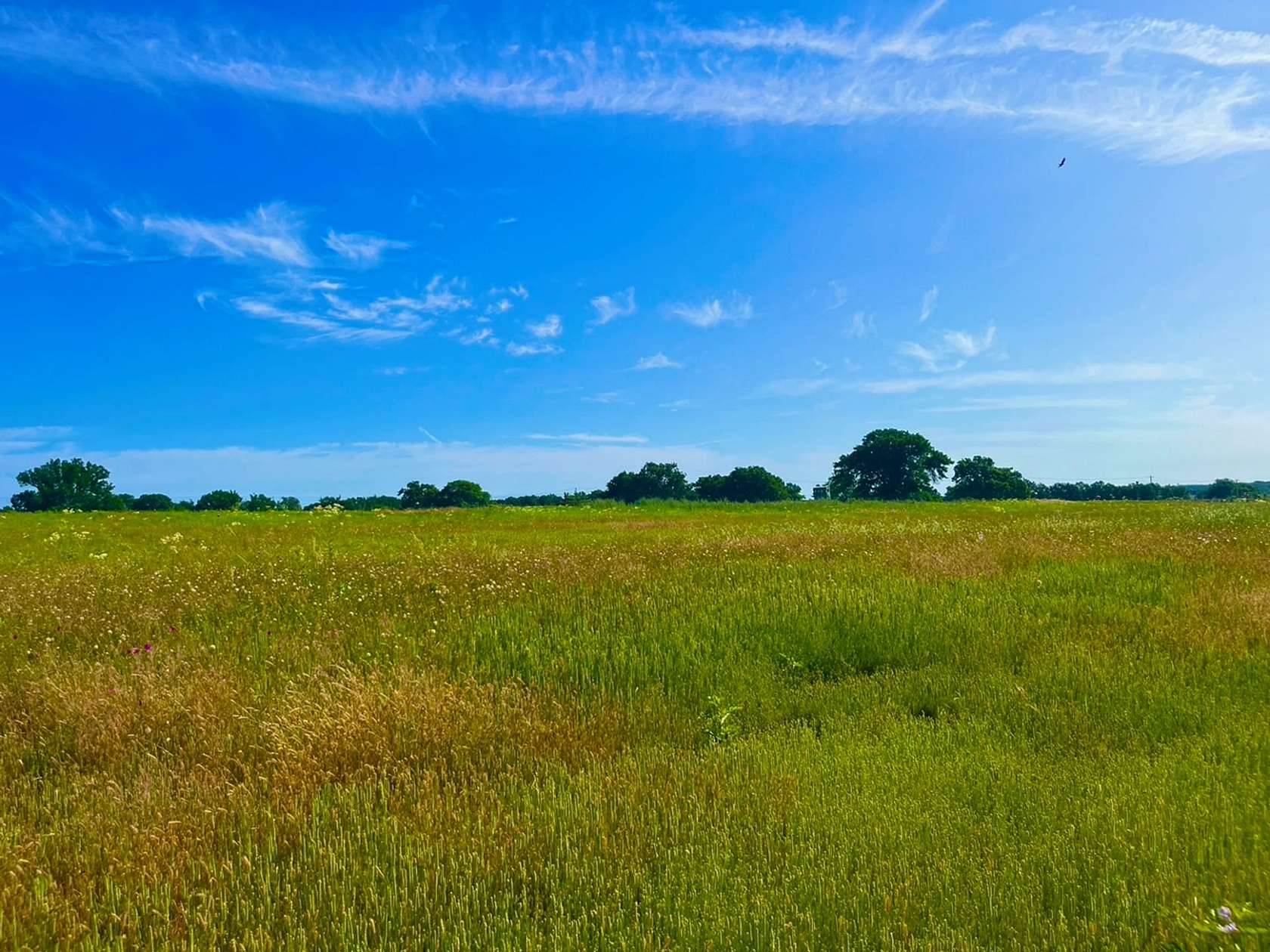 2 Acres of Residential Land for Sale in Poolville, Texas