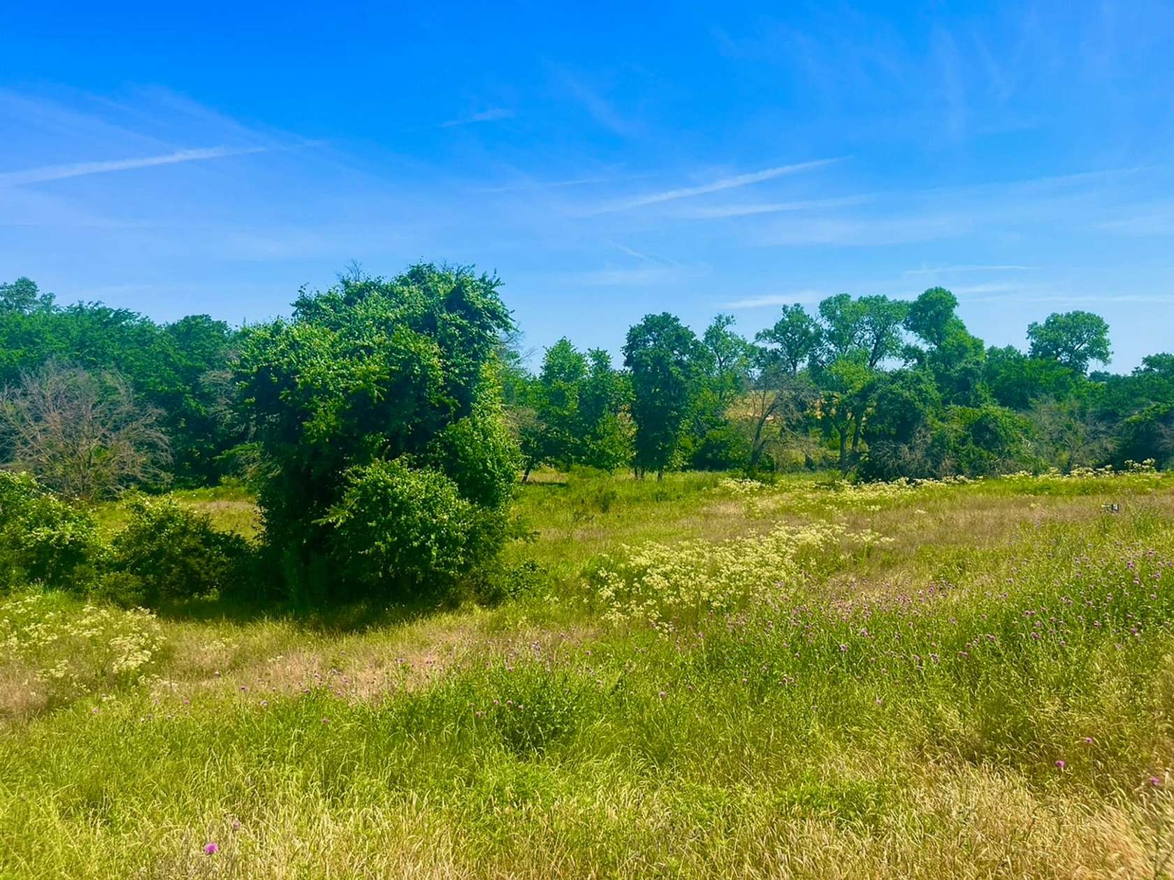 2.362 Acres of Residential Land for Sale in Poolville, Texas