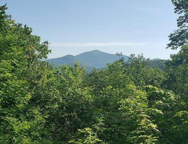 1 Acre of Residential Land for Sale in Hiawassee, Georgia