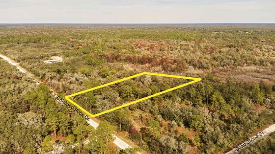 0.52 Acres of Residential Land for Sale in Ridge Manor, Florida ...