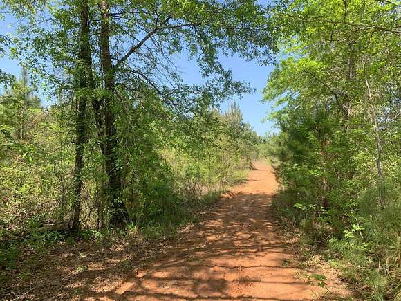 20 Acres of Land for Sale in El Dorado, Arkansas