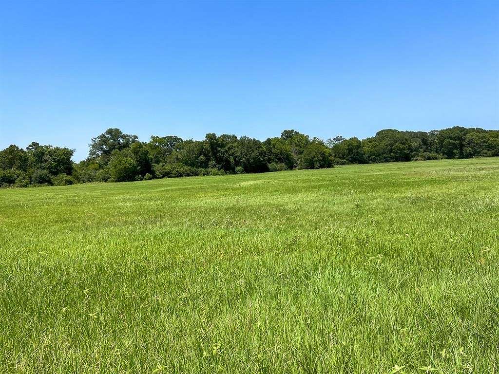 20 Acres of Agricultural Land for Sale in Lovelady, Texas