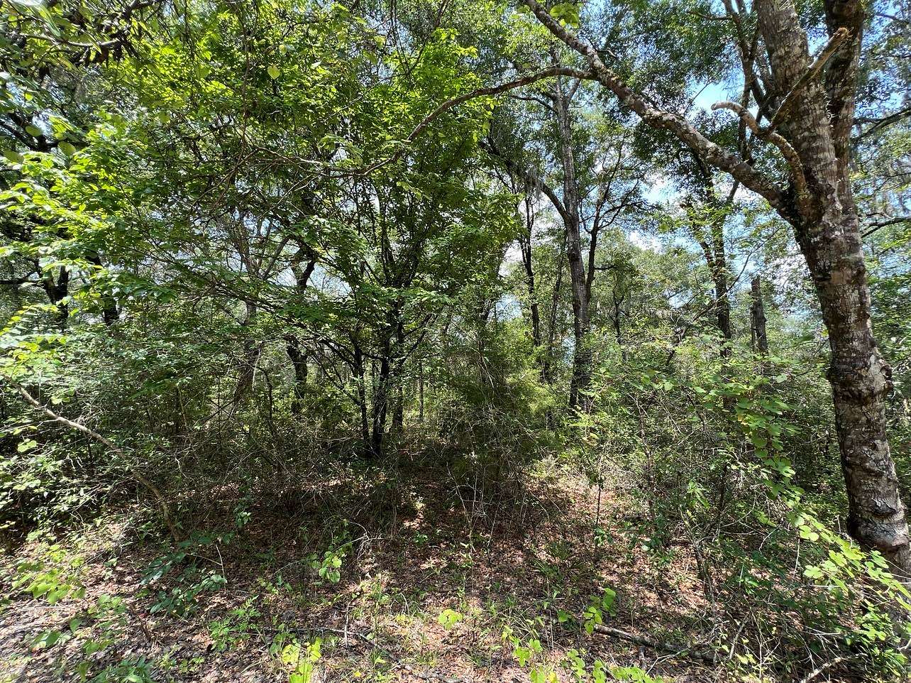 0.69 Acres of Residential Land for Sale in Bell, Florida