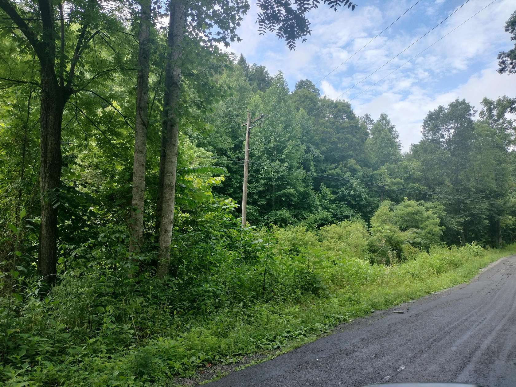 60.1 Acres of Recreational Land for Sale in Rogersville, Tennessee