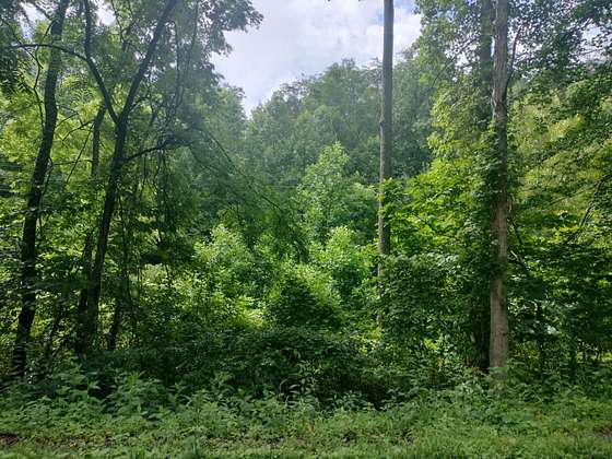 52.4 Acres of Recreational Land for Sale in Rogersville, Tennessee