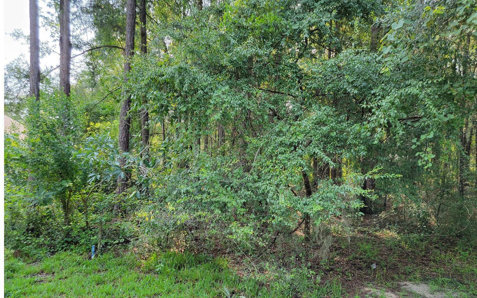 0.21 Acres of Residential Land for Sale in Live Oak, Florida