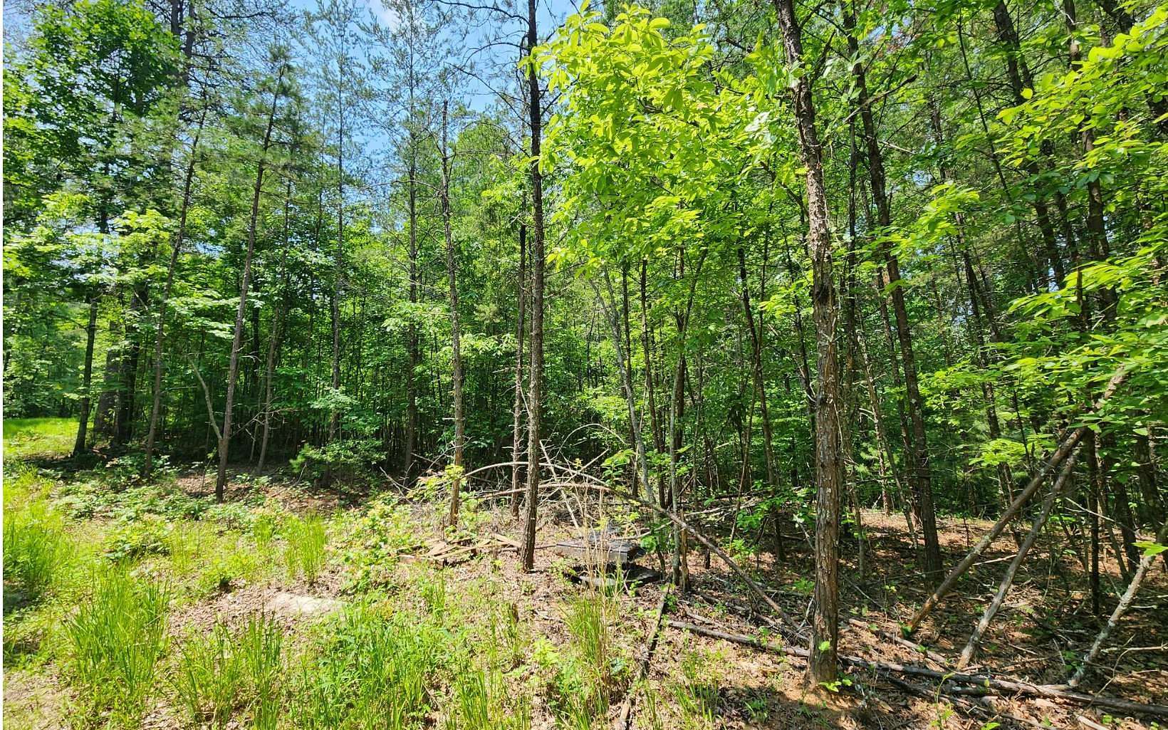 0.82 Acres of Residential Land for Sale in McCaysville, Georgia