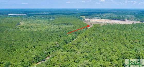 24 Acres of Land for Sale in Ellabell, Georgia
