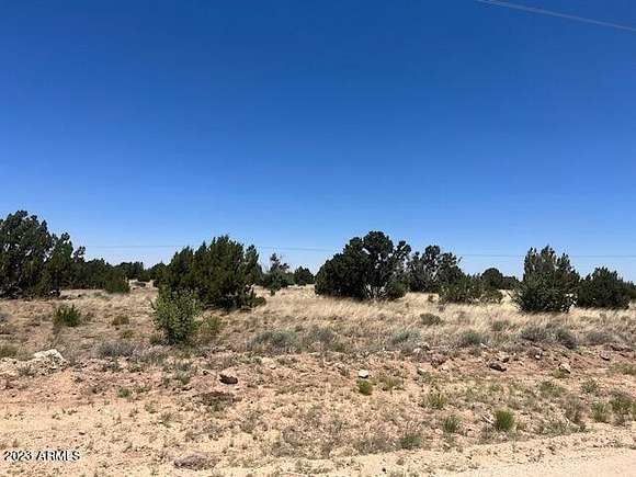 7 Acres of Residential Land for Sale in Concho, Arizona