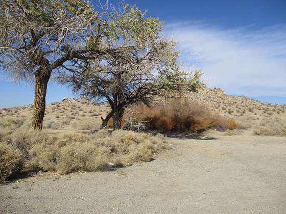 0.457 Acres of Land for Sale in Palmdale, California