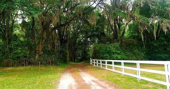17 Acres of Land with Home for Sale in Perry, Florida