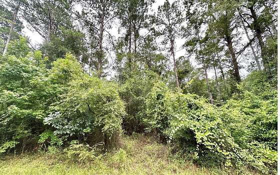 2.2 Acres of Land for Sale in Mayo, Florida