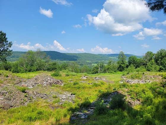85.2 Acres of Recreational Land for Sale in Butternuts Town, New York