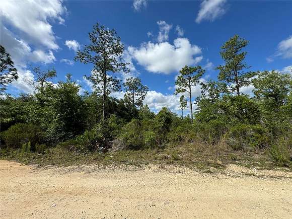 0.44 Acres of Residential Land for Sale in Williston, Florida