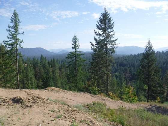 19.8 Acres of Land for Sale in Loon Lake, Washington