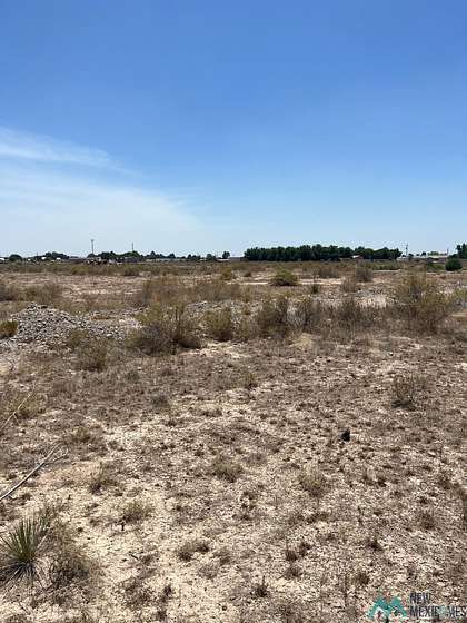 19.2 Acres of Land for Sale in Artesia, New Mexico