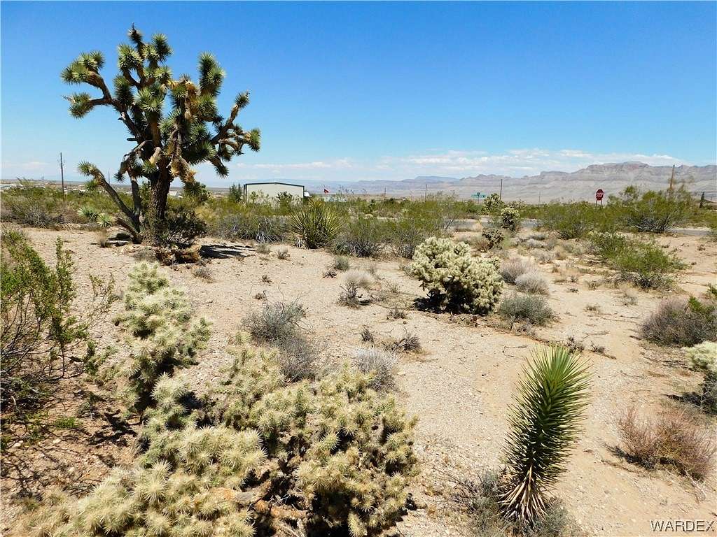 0.39 Acres of Residential Land for Sale in Meadview, Arizona