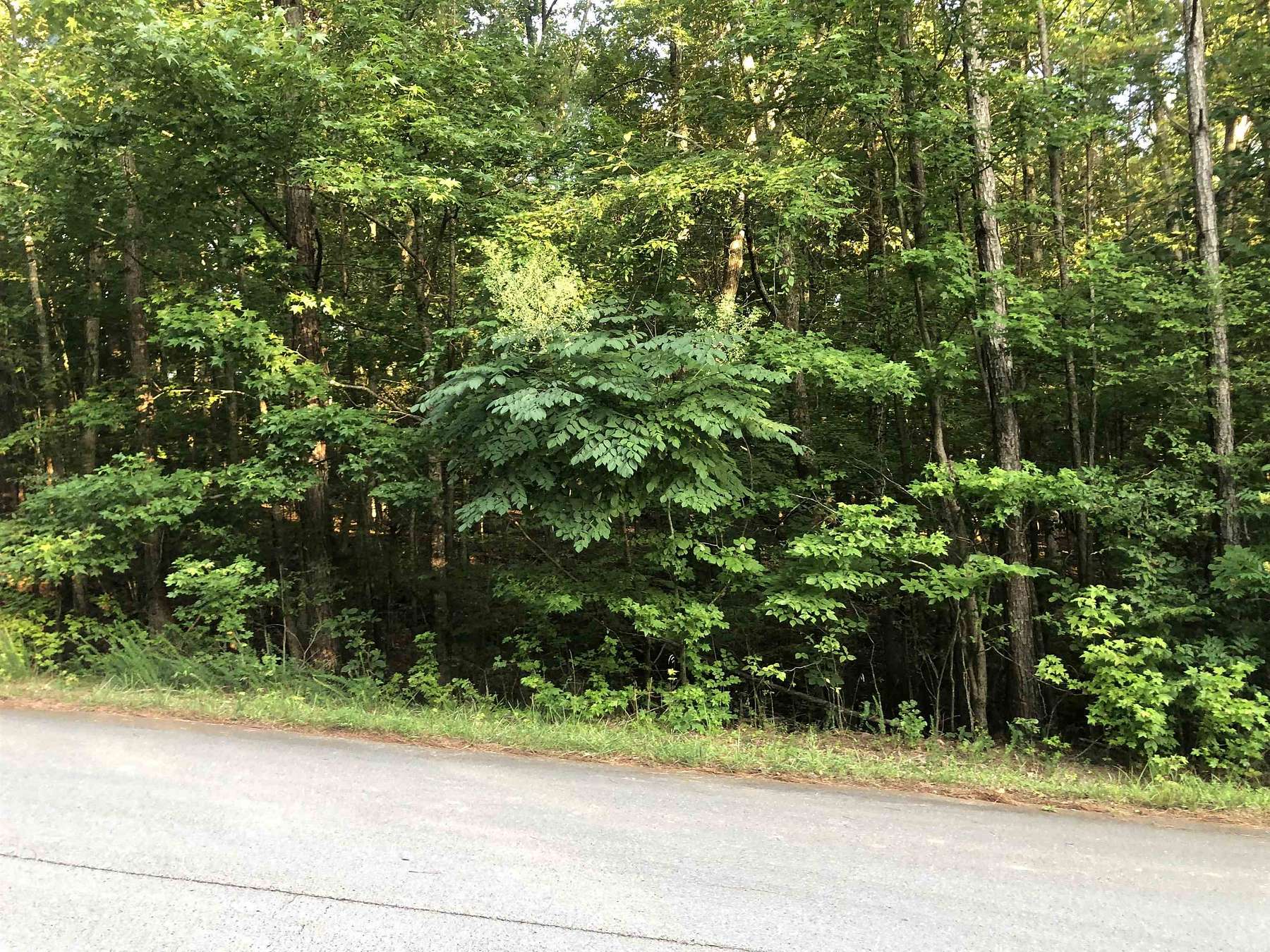 1.4 Acres of Residential Land for Sale in Russellville, Alabama