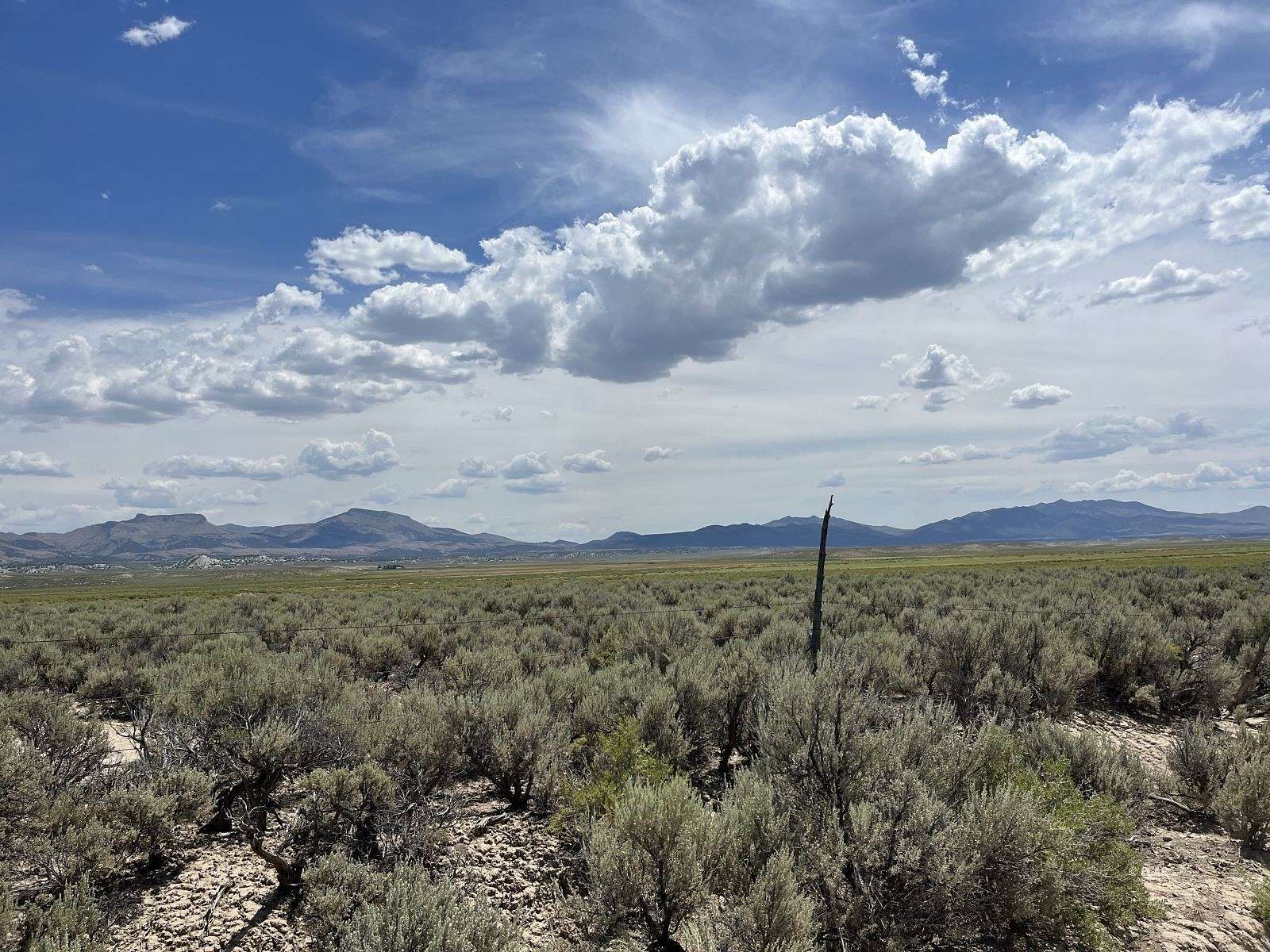 40 Acres of Land for Sale in Eureka, Nevada