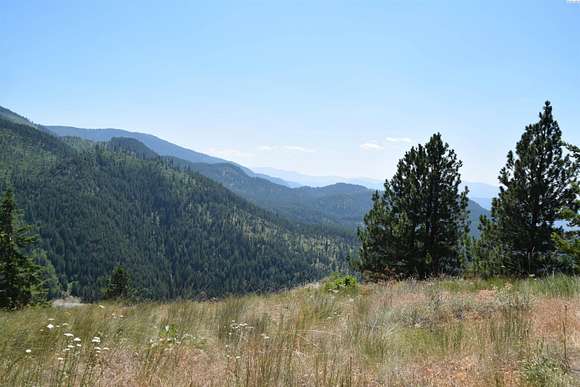 22 Acres of Land for Sale in Colville, Washington