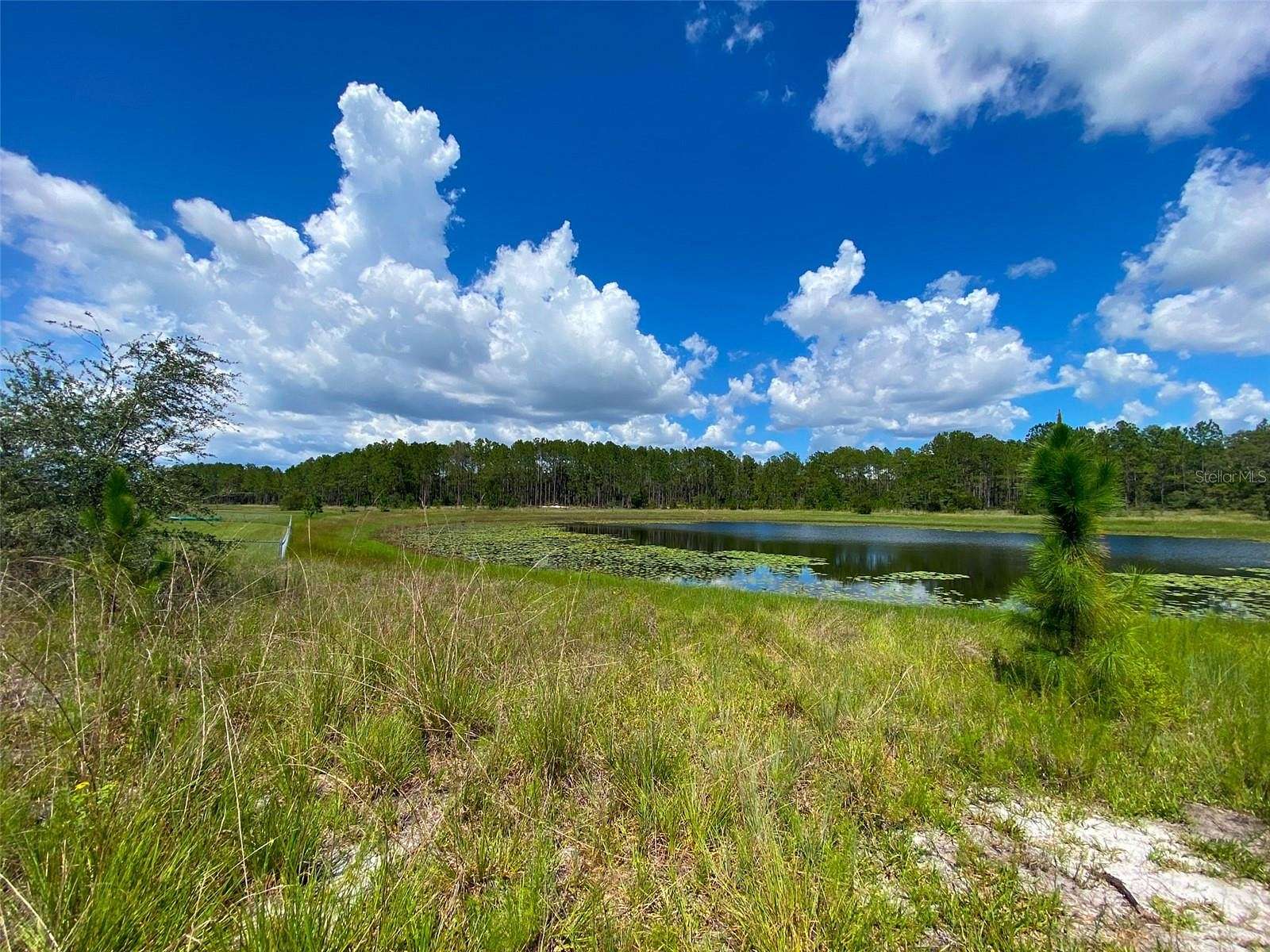 1.5 Acres of Residential Land for Sale in Hudson, Florida
