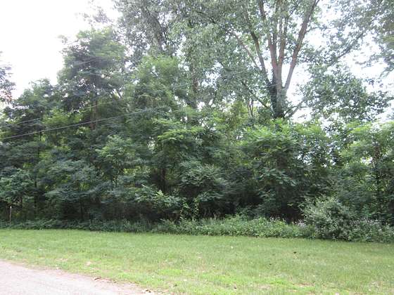 6 Acres of Land for Sale in Brooklyn, Michigan